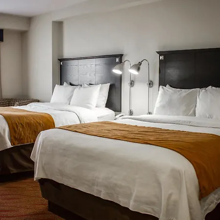 Hotel Comfort & Laguardia Airport New York