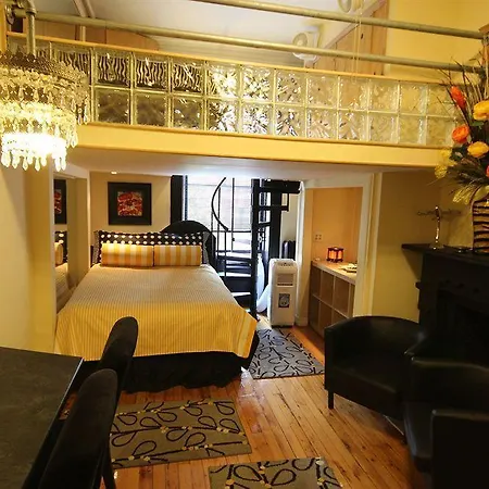 The International Cozy