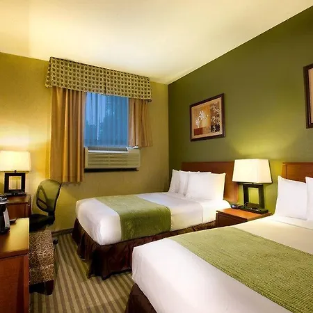 Hotel Q