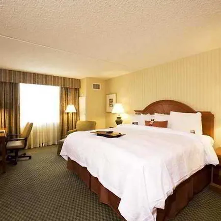 Hampton Ny-jfk Hotel New York