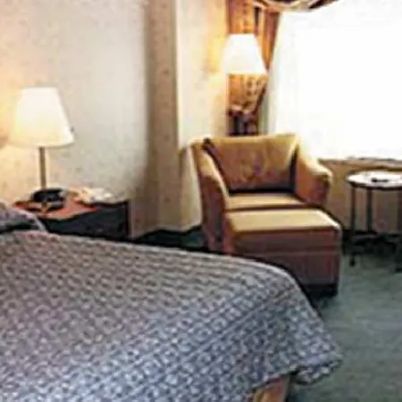 The Watson