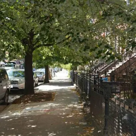 Bed Stuy Breeze New York