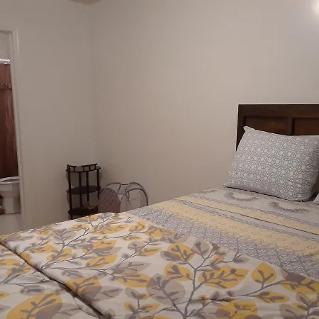 Roomy Comfy In Brooklyn New York