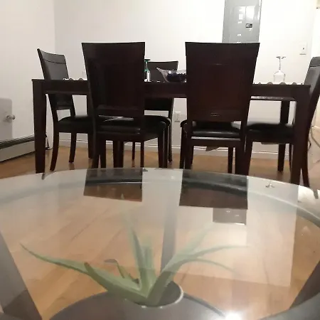 Apartment Roomy Comfy In Brooklyn New York