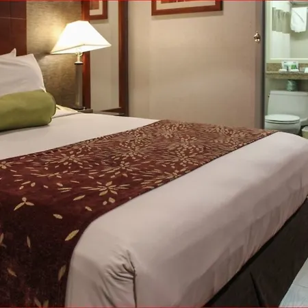 Sumner Hotel 3*
