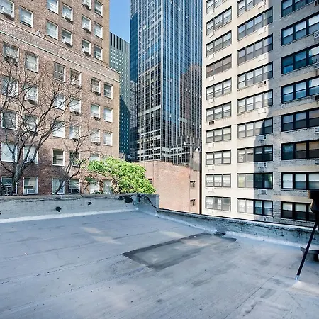 Novo151 2d New York