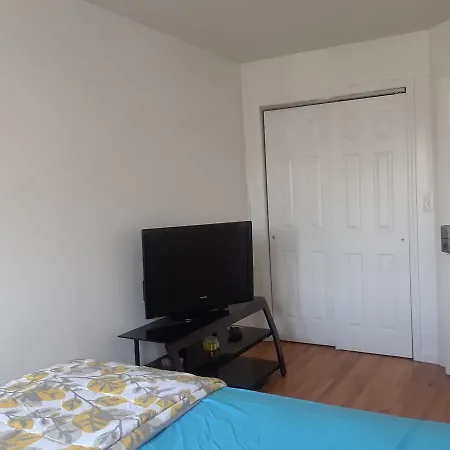 Apartment Roomy Comfy In Brooklyn