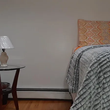 Roomy Comfy In Brooklyn New York