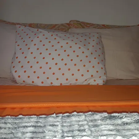 Roomy Comfy In Brooklyn New York