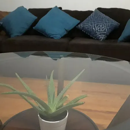Roomy Comfy In Brooklyn Apartment New York