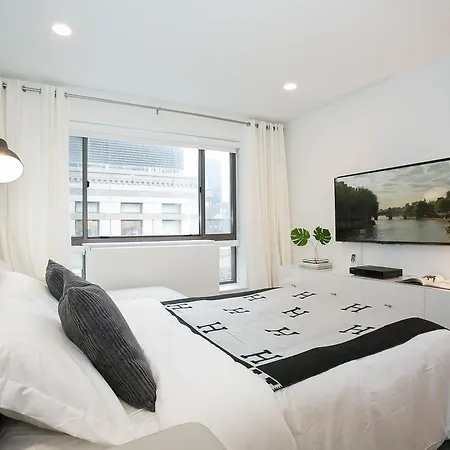Ultra Luxurious Large One Bedroom Appartment, Midtown Apartment New York