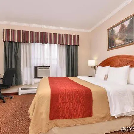 Comfort Chelsea 2*