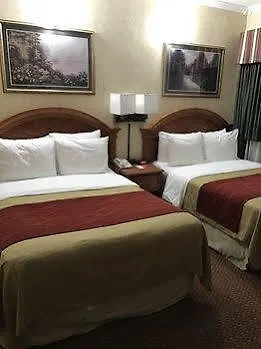 Hotel Comfort Chelsea
