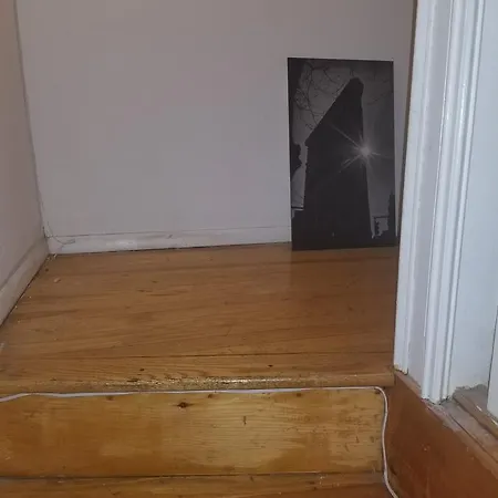 Bedstuy Cozy Apartment
