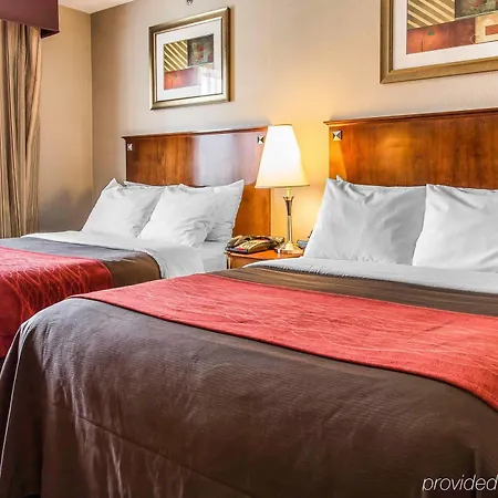 Avion Near Lga Airport, An Ascend Collection 3*