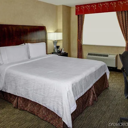 Hilton Garden New York/manhattan-chelsea Hotel New York