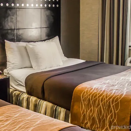 Rodeway Bronx Zoo Inn 4*