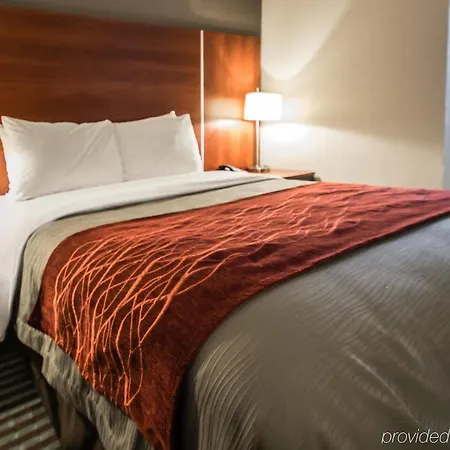 Hotel Flushing New York