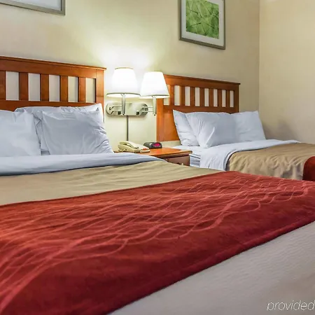 Red Lion & Long Island Hotel 3*