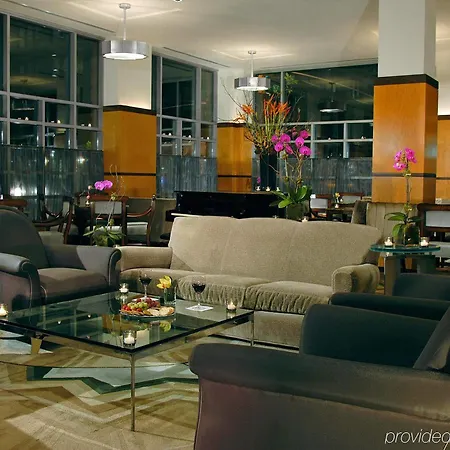 Giraffe By Library Collection Hotel