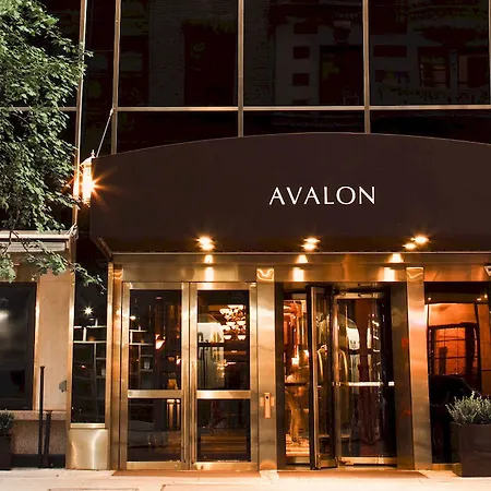 Hotel Avalon 4*