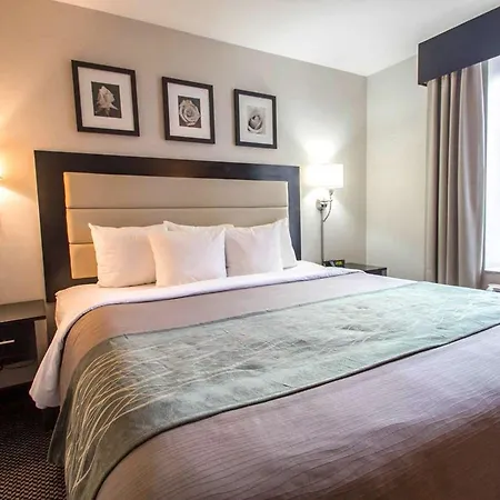Comfort Times Square South Area Hotel 3*