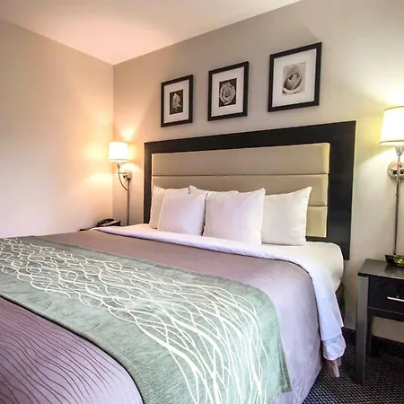 Hotel Comfort Times Square South Area New York