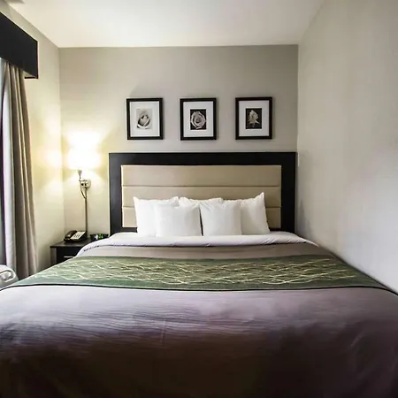 Hotel Comfort Times Square South Area