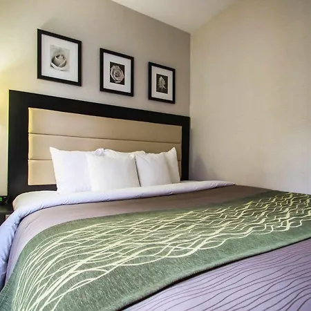 Comfort Times Square South Area Hotel New York