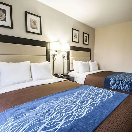 Comfort Times Square South Area Hotel New York