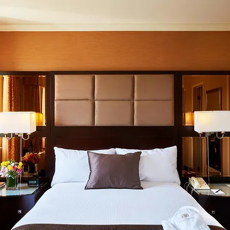 Excelsior New York