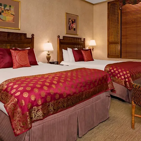 Hotel Casablanca By Library Collection