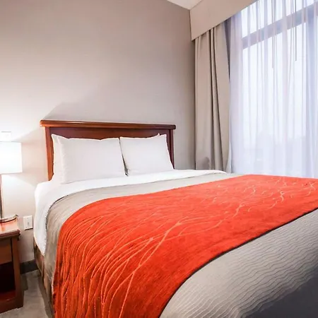 Hotel Comfort Manhattan Bridge New York