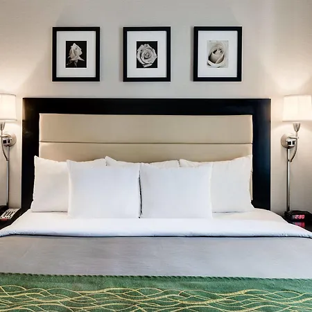 Hotel Comfort Times Square South Area