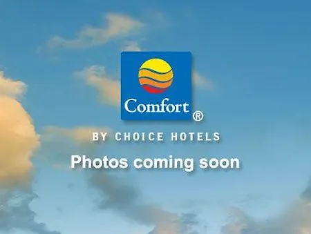 Comfort Near Barclays Center - Crown Heights 2* New York