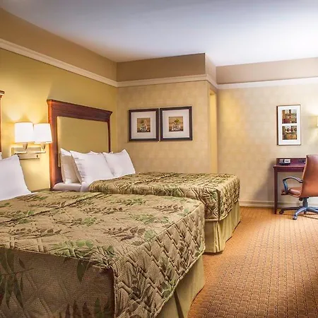 Hotel The At 3*