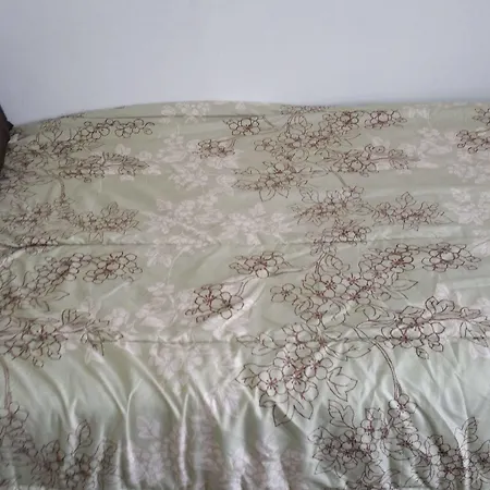 Delz Bed & Breakfast Hotel