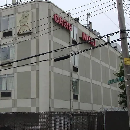 Oasis In Brooklyn