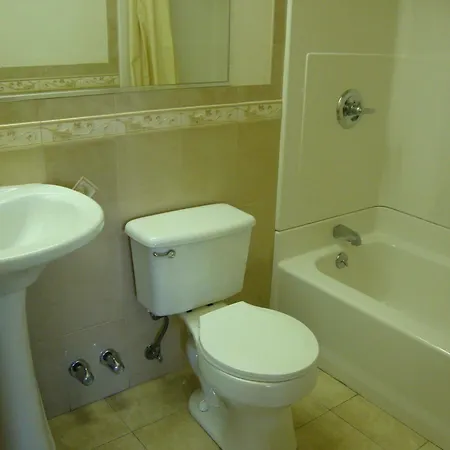 Oasis In Brooklyn Hotel New York