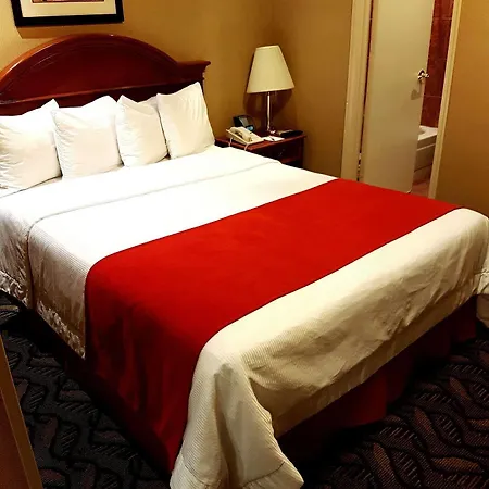Newton 3* New York