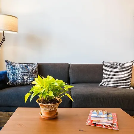 Modern Luxury In Heart Of Williamsburg!! Apartment *