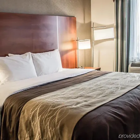 Hotel Flushing New York