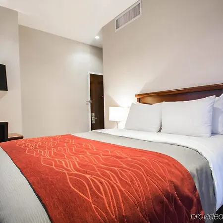 Hotel Comfort Manhattan Bridge