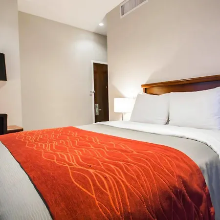 Comfort Manhattan Bridge 3*