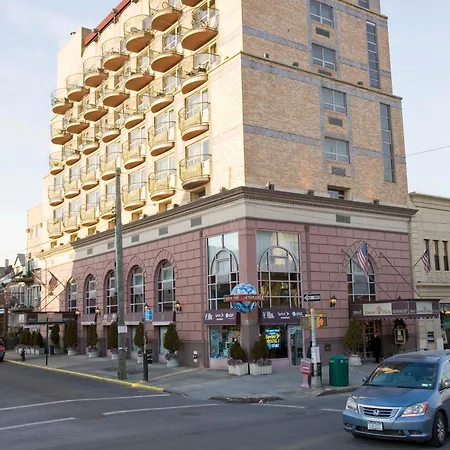 The Avenue Plaza 3*