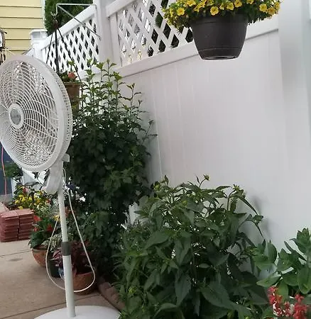 Apartment Affordable In Shared House Brooklyn *