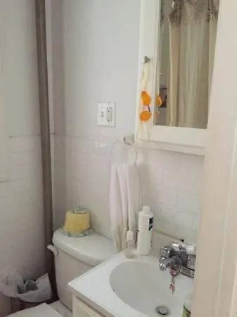 Hipster Brooklyn Bright Apt *
