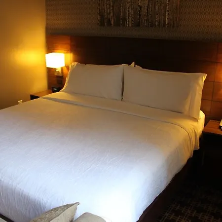 Hilton Garden New York/midtown Park Avenue Hotel New York