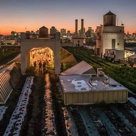 Dreamy Brooklyn 3br, Sleeps Many! ~*must See*~ New York