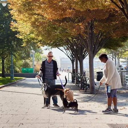 West 20th Street By Onefinestay Apartment *